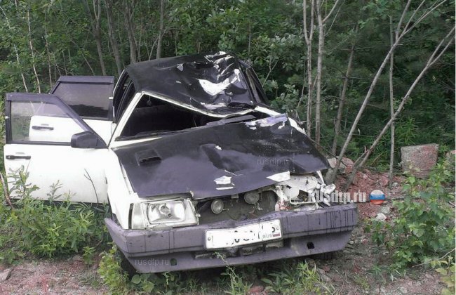 Автомобиль сбил лося на трассе Пермь &#8212; Екатеринбург