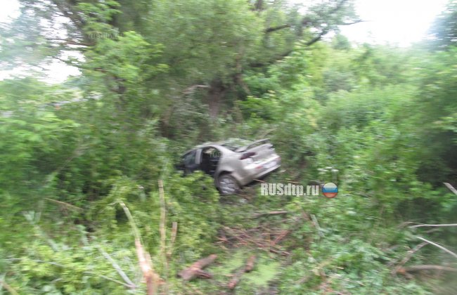 Два пассажира \&#187;Лансера\&#187; погибли при столкновении с деревом