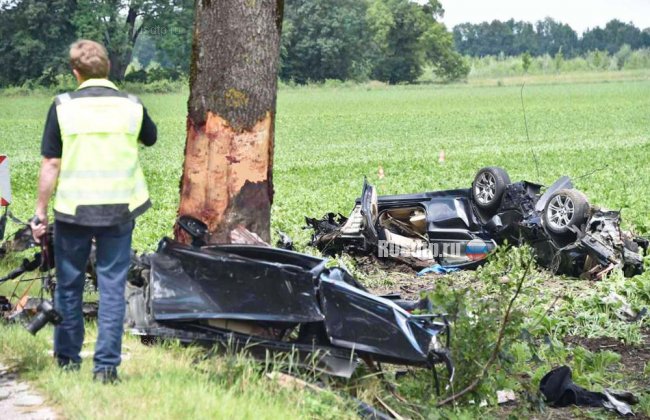BMW уничтожился об дерево в Германии