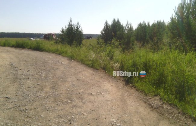 11 человек на «Акуре» разбились на автодороге в Свердловской области