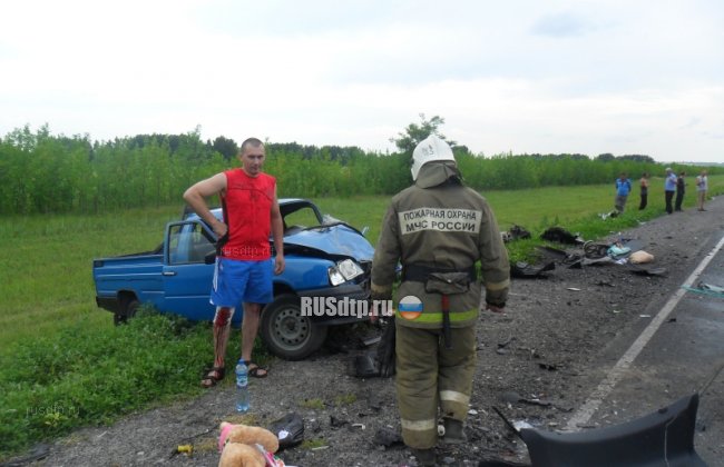Маленькая девочка осталась сиротой после аварии в Воронежской области