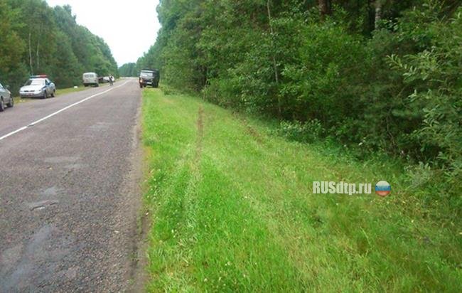 Молодая компания врезалась в дерево, возвращаясь с отдыха на природе Молодая компания врезалась в дерево, возвращаясь с отдыха на природе