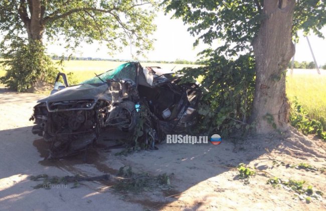 В Калининградской области разбился водитель Ауди
