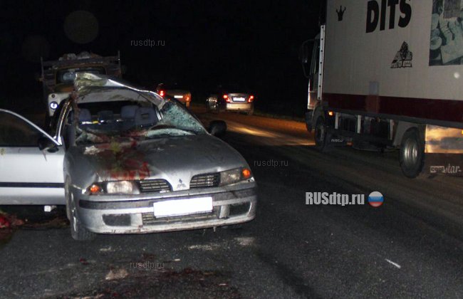 В Кемеровской области «Mitsubishi» сбил лося. Погибла пассажирка