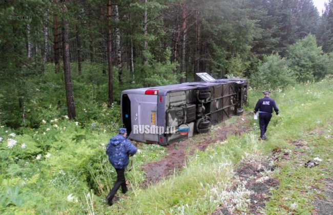 В Красноярском крае при столкновении двух автобусов погибли 11 человек