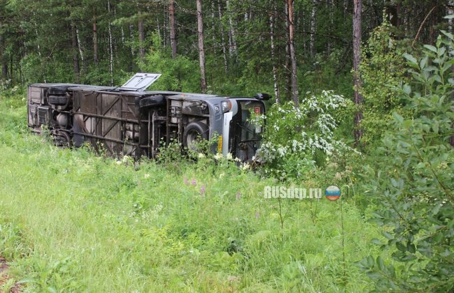 В Красноярском крае при столкновении двух автобусов погибли 11 человек