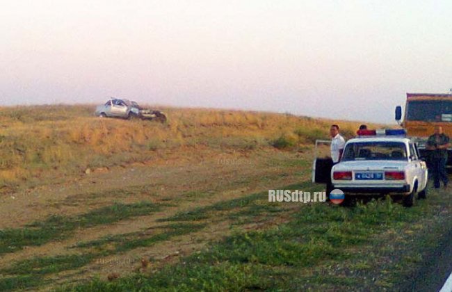 На трассе в Астраханской области погибли две коровы
