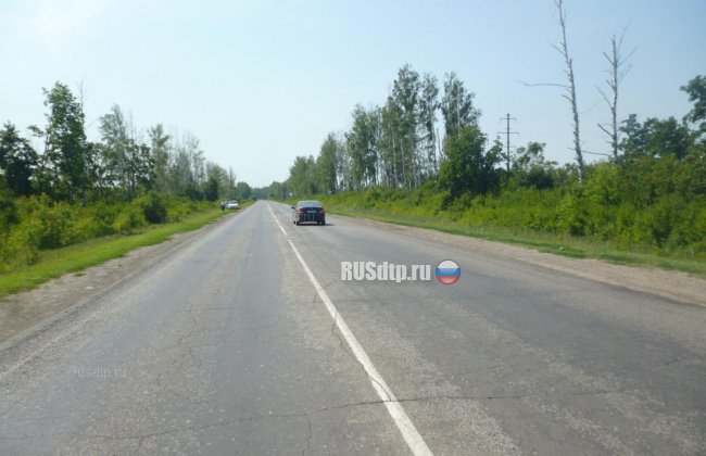 Молодая компания попала в ДТП на автодороге Тамбов-Шацк