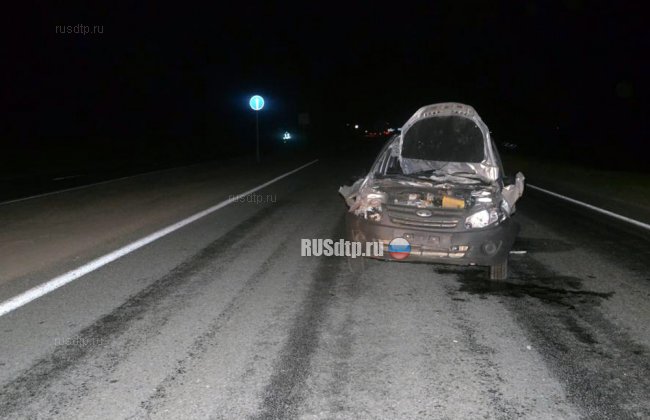 Пассажирка «Гранты» погибла при столкновении автомобиля с гужевой повозкой
