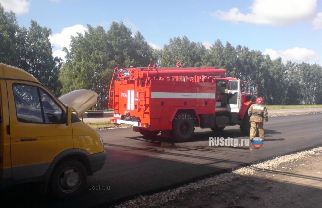 Семья погибла в лобовом столкновении автомобилей на Тамбовщине