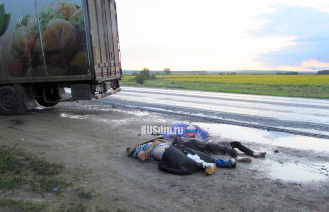 Три человека погибли под встречной фурой в Саратовской области