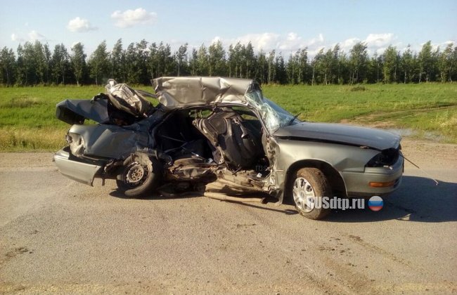 В Татарстане на трассе М7 погибли 2 человека