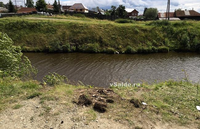 В Свердловской области инспектор ДПС утонул, опрокинувшись на машине в пруд
