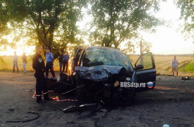 На Закарпатье из-за пьяного водителя погиб молодой человек. Момент ДТП снят на видео