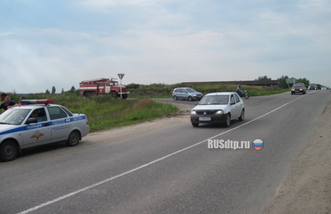 Двое близняшек пострадали в результате ДТП в Ивановской области