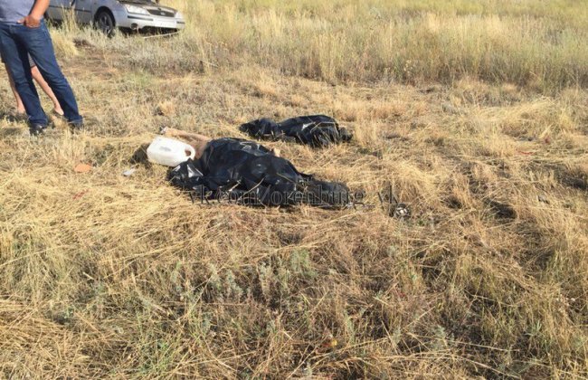 Три человека погибли на трассе Оренбург-Илек