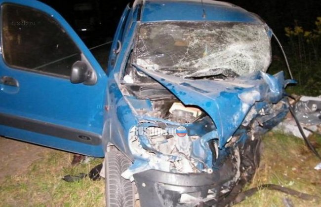 Оба водителя и пассажир погибли в ДТП во Львовской области