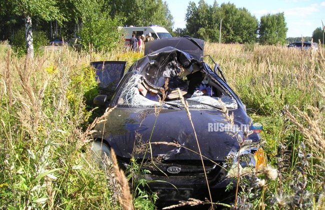 Автомобиль сбил лося под Рыбинском. Пострадали женщина и ребенок