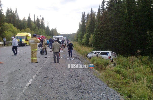 В Красноярском крае в ДТП попал рейсовый автобус. 1 погиб и 12 пострадали