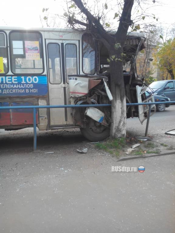 В Кирове автобус врезался в дерево