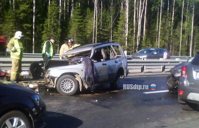 На Новоприозерском шоссе по вине неадекватного водителя погиб отец пятерых детей