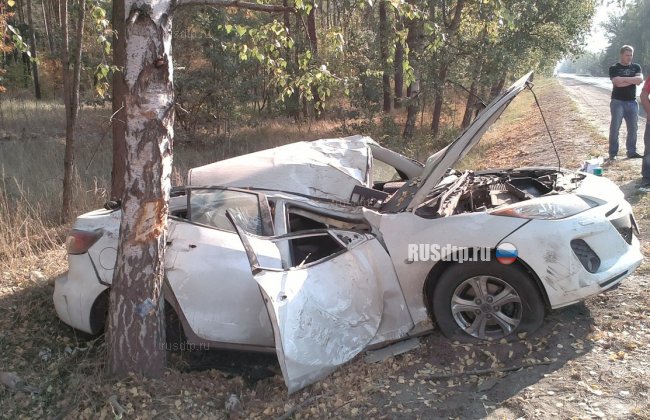 В Липецкой области погиб водитель, врезавшись в дерево