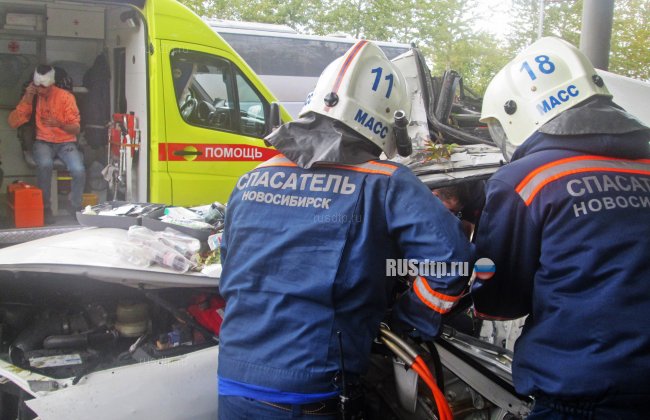 В Новосибирске лихач на «Тойоте» врезался в дерево. Пострадала девушка