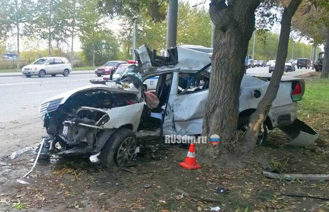 В Новосибирске лихач на «Тойоте» врезался в дерево. Пострадала девушка