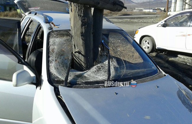 В Якутии упавший столб попал в салон к водителю