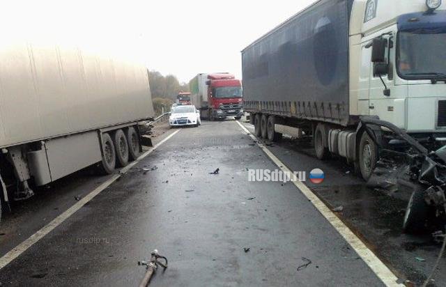 Один человек погиб при столкновении четырех автомобилей на трассе М-10 «Россия»