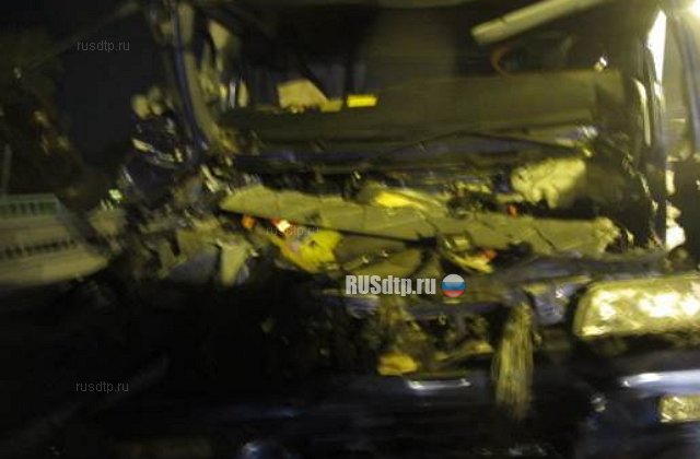В Тульской области погиб водитель грузовика