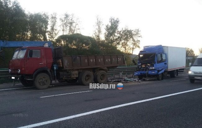 В Тульской области погиб водитель грузовика