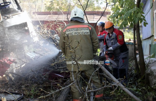 Школьный автобус врезался в дерево под Хабаровском