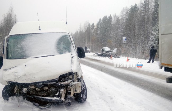 Первый снег привел к смертельному ДТП на Серовском тракте