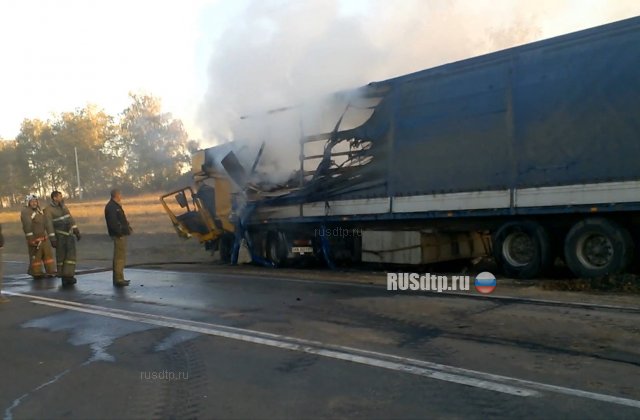 5 автомобилей столкнулись из-за задымления на трассе Курск – Воронеж. Двое погибли