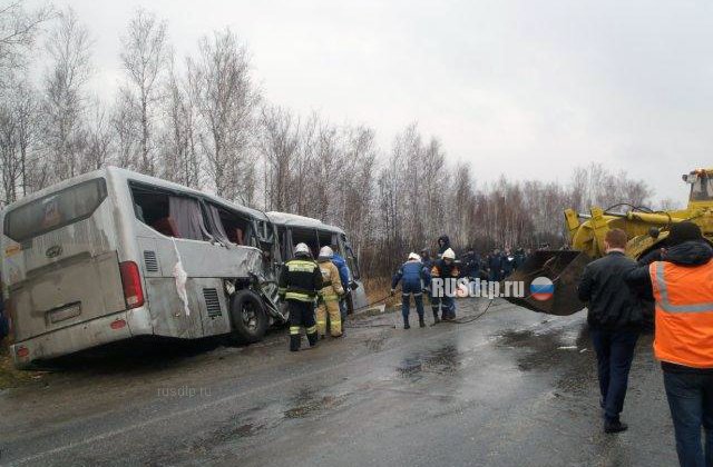 Автобус столкнулся с фурой на трассе «Иртыш». Погиб человек