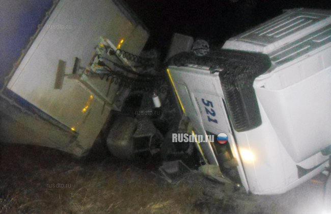 Неопытный водитель погиб под встречной фурой в Ульяновской области