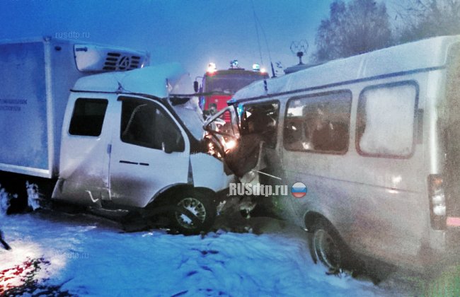 Микроавтобус с футбольными фанатами попал в ДТП в Нижегородской области