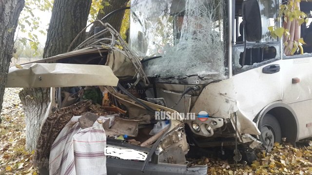 Два человека погибли при столкновении автобуса с «Москвичом» на Кубани