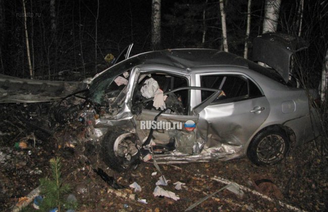 Оба водителя погибли в ДТП в Касимовском районе
