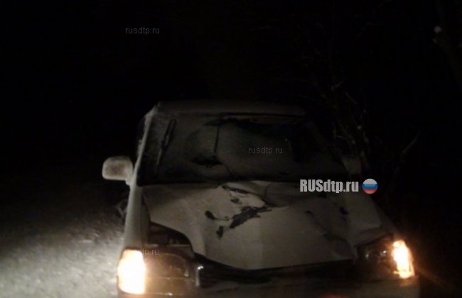 В Екатеринбурге водитель Хонды сбил пешеходов
