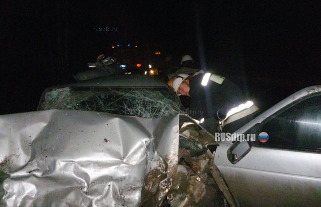 Трое погибли по вине опытного водителя в Нижегородской области