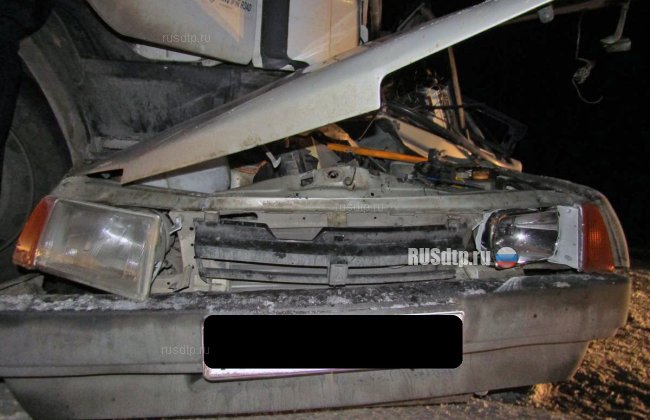 В Свердловской области водитель погиб из-за выбежавшей на дорогу косули