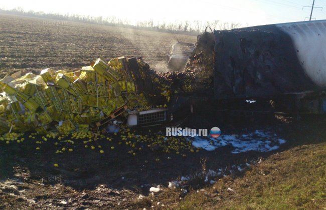 Три человека погибли в жутком ДТП на Кубани (фото)