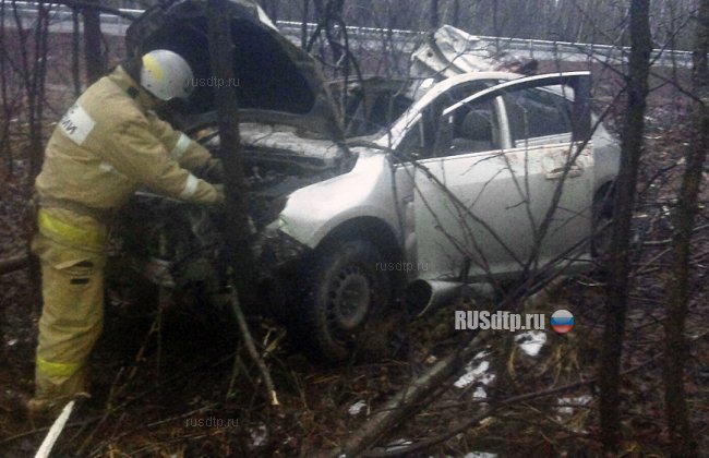 Автомобиль сбил лося в Калужской области. Водитель погиб