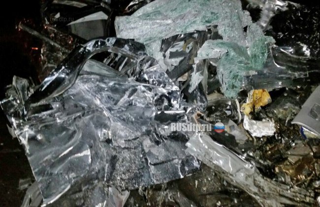 Водитель и пассажирка «Приоры» погибли в ДТП с фурой на трассе М-10 «Россия»