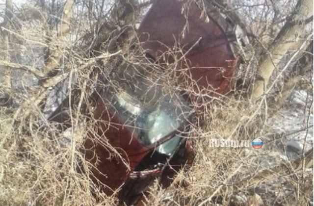 В Самарской области погиб водитель