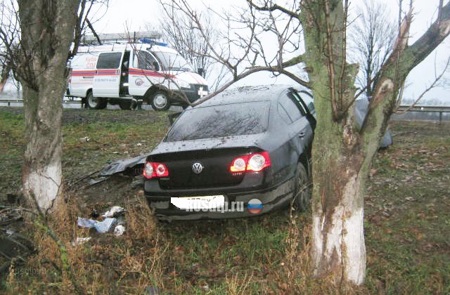 «Фольксваген» врезался в дерево на Кубани. Погибла женщина