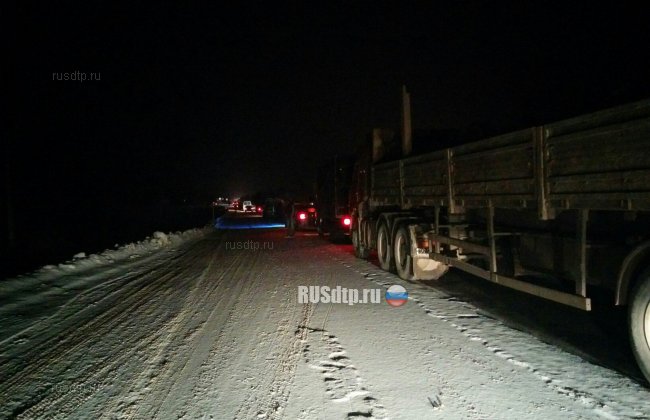 Водитель «Фольксвагена» погиб в ДТП с лесовозом на автодороге Пермь-Березники