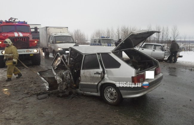 Оба водителя погибли в результате ДТП в Татарстане